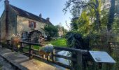 Tour Rennrad Paron - 182 NO150 Dammarie l Lys # Barbizon-01 - Photo 5