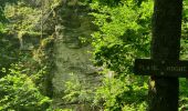 Tocht Stappen Bouillon - rando rochehaut 11-06-2022 - Photo 10