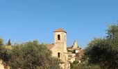 Randonnée Marche Cadenet - Châteaux de Lourmarin et Cadenet - Photo 3