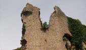 Excursión Senderismo Nogna - Chateau de Beauregard - Photo 2