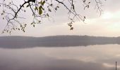 Tocht Te voet Feldberger Seenlandschaft - Krüseliner Rundweg - Photo 7