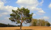 Tocht Te voet Onbekend - Szlak im. Bolesława Krzywoustego - Photo 4