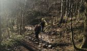 Tocht Stappen Ferrières - sy Barvaux  - Photo 3