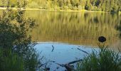 Percorso Marcia Xonrupt-Longemer - randonnée sur 2 jours des 5 lacs dans les Vosges ( longemer, blanchemer, lispach, Retournemer, de la lande) - Photo 9