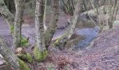 Randonnée A pied Ryedale - Dalby Beck Red Trail - Photo 3