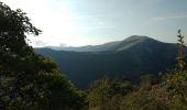 Tocht Stappen Saint-Vallier-de-Thiey - Montagne de Thiey - Photo 1