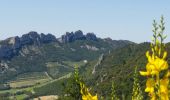 Excursión Bici de montaña Malaucène - bedoin j2 - Photo 1