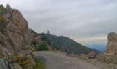 Trail Walking Collioure - madeloc depuis col de la serra, via col de villauria, batterie 500, retour  - Photo 7