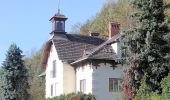 Excursión A pie Gemeinde Seebenstein - Seebenstein Bahnhof - Waldlehrpfad - Schiltern - Pitten - Photo 8