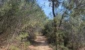 Trail Walking Rognes - Rognes virée dans les vignes sur le sentier des vignerons - Photo 6