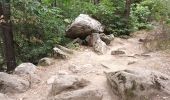 Trail Walking Vernet-les-Bains - Vernet 2 - Photo 11