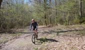 Tocht Mountainbike Libin - Haute Lesse partie 1 - Photo 3