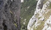 Excursión Marcha nórdica Chamaloc - Col de Chironne, but de l'Aiglette - Photo 14