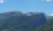 Tocht Stappen Samoëns - Samoens . gorges des tines - retour  - Photo 1