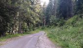 Randonnée Marche Crots - dans le boscodon avec les moines, l'ours, les dames et le ministre via belv aiguillas, cirque bragousse et l abbaye - Photo 20