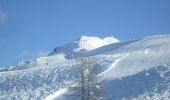 Randonnée A pied Vodo di Cadore - Via normale Monte Pelmo - Photo 5