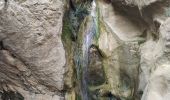 Trail Walking Gigondas - Dentelles Montmirail  - Photo 5