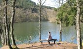 Tocht Te voet Houffalize - Promenade du Lac de Nisramont - Photo 4
