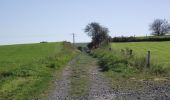 Trail On foot Sainte-Ode - A5. Promenade de la Fagne du Gayet - Photo 3