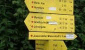 Randonnée A pied Maria Alm am Steinernen Meer - Wanderweg 28c - Photo 5