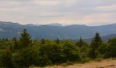 Excursión Senderismo Les Déserts - SityTrail - BAUGES: LA FECLAZ - CROIX DU NIVOLLET - Photo 11