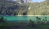 Tour Wandern Unknown - lac Noir - Photo 1