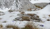 Tocht Stappen Pralognan-la-Vanoise - Tour de l''aiguille de la Vanoise - Photo 8