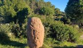 Percorso Marcia Saint-Raphaël - Menhirs D100 - Photo 1