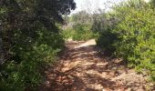 Tocht Stappen Gordes - cordes col des 3 thermes abbaye de senanque les bories - Photo 3