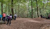 Tocht Stappen Palaiseau - Le tour de Villebon - Photo 2