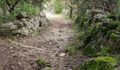 Tour Wandern Saint-Jean-de-Buèges - st Jean de bourges, la source du bueges.  - Photo 8