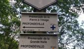 Tour Wandern Profondeville - PROFONDEVILLE ... la Couleuvrine. - Photo 7