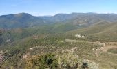 Tour Wandern Conqueyrac - les 2 jumelles près de St hippolythe - Photo 1