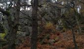 Tocht Stappen Jalhay - Hoegne-Polleur-Statte-Dolmen - Photo 2