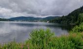 Tocht Stappen Gérardmer - Gerardmer TDL - Photo 2