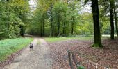 Randonnée Marche Martelange - Dans l’intimité d’une forêt  - Photo 8