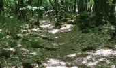 Trail Walking Caden - PR_56_Caden_AA_01_Le-Grand-Val_Circuit1b_20200524 - Photo 3