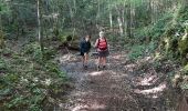 Trail Walking Saint-Côme-d'Olt - live Saint Côme - Estaing - Photo 3