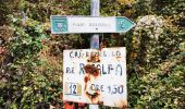 Randonnée A pied Mandello del Lario - Sentiero 5 - Crebbio - Piani Resinelli - Photo 5