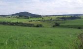 Tocht Stappen Aydat - NARSE D'ESPINASSE DEPUIS LA GARANDIE - Photo 10