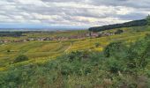 Randonnée Marche Nothalten - L'Abbaye de Baumgarten - Photo 14