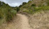 Trail Walking Condette - Dunes d’Ecault depuis le château d’Hardelot - Photo 1