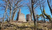 Percorso Marcia Ribeauvillé - Ribeauvillé et ses 3 châteaux - Monastère ND de Dusenbach - Photo 20