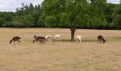 Tour Wandern Courçay - Courçay - Reignac-sur-Indre - 14.1km 145m 3h05 - 2020 06 20 - Photo 4