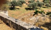 Tocht Stappen Πρόδρομος - Prodromos - Lefkes A-R par la « Route Byzantine «  - Photo 6