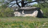 Randonnée Marche Varaire - Varaire dolmen du Dirau - Photo 3