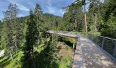 Tour Zu Fuß Laax - Panoramaweg Falera-Laax Murschetg - Photo 2