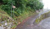 Trail On foot Lizzano in Belvedere - IT-113 - Photo 5