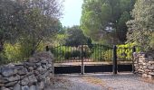 Trail Walking Laroque-des-Albères - laroque . pla d'en guinot . laroque - Photo 14
