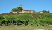 Excursión A pie Sulzfeld - Wandern zwischen Wein, Wald und Streuobstwiesen - Photo 8